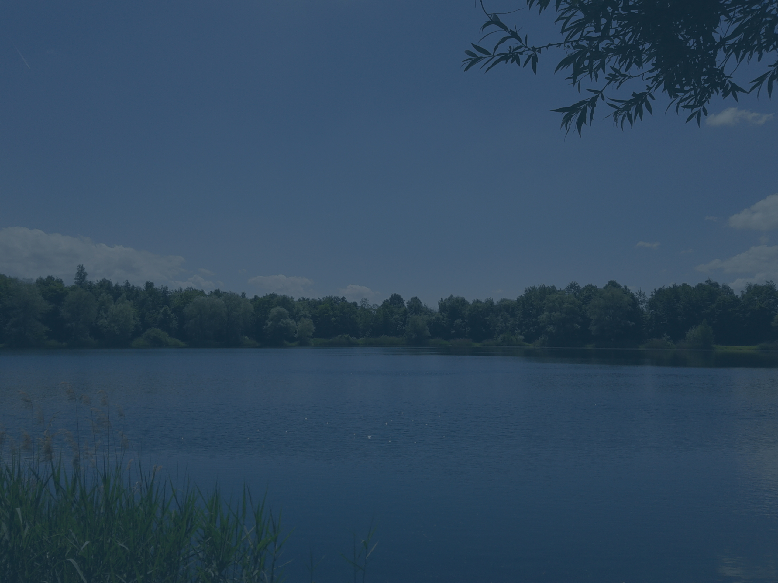 An image of a lake near Karlsruhe. It is a very peacefull place. No trace of humans. In the foreground on the left there is some tall grass. It is a warm summer day with only a few clouds.
